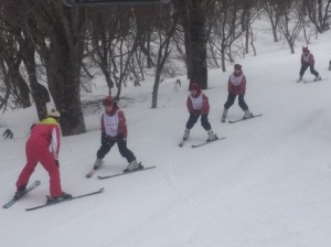 IMG_8754