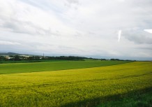 0705_023