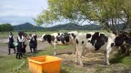 修学旅行の風景