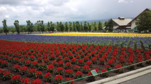 修学旅行の風景