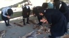 2013australia39