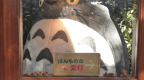 2013jHStrip_21