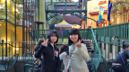 2013jHStrip_24