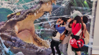 2013jHStrip_41