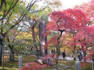 東福寺3