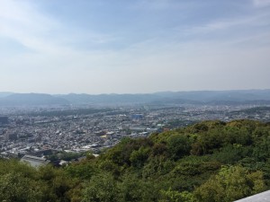 １１