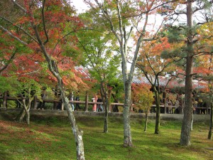 東福寺4