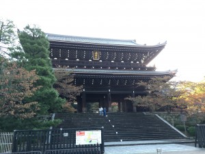 IMG_9560