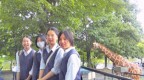 NEC_0302