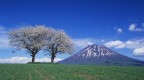 北海道仮写真