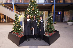 SONY DSC